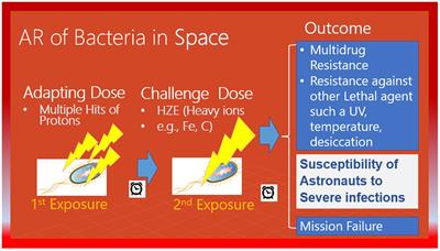 How the adaptation of the human microbiome to harsh space environment can determine the chances of success for a space mission to Mars and beyond